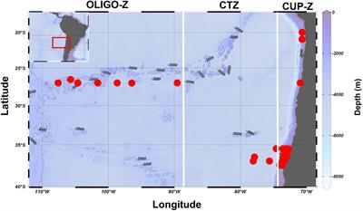 Environmental Gradients and Spatial Patterns of Calanoid Copepods in the Southeast Pacific